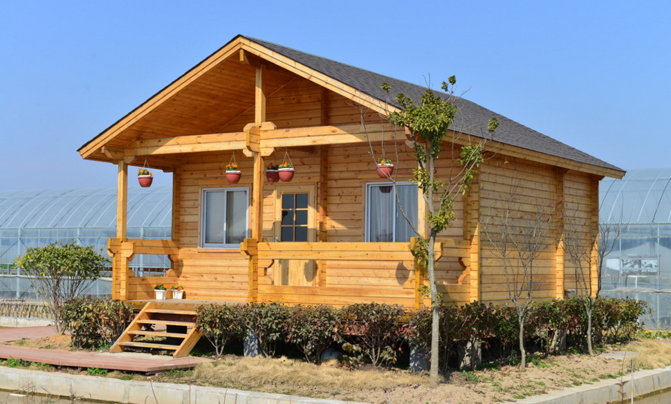 木屋在叢林中獨居