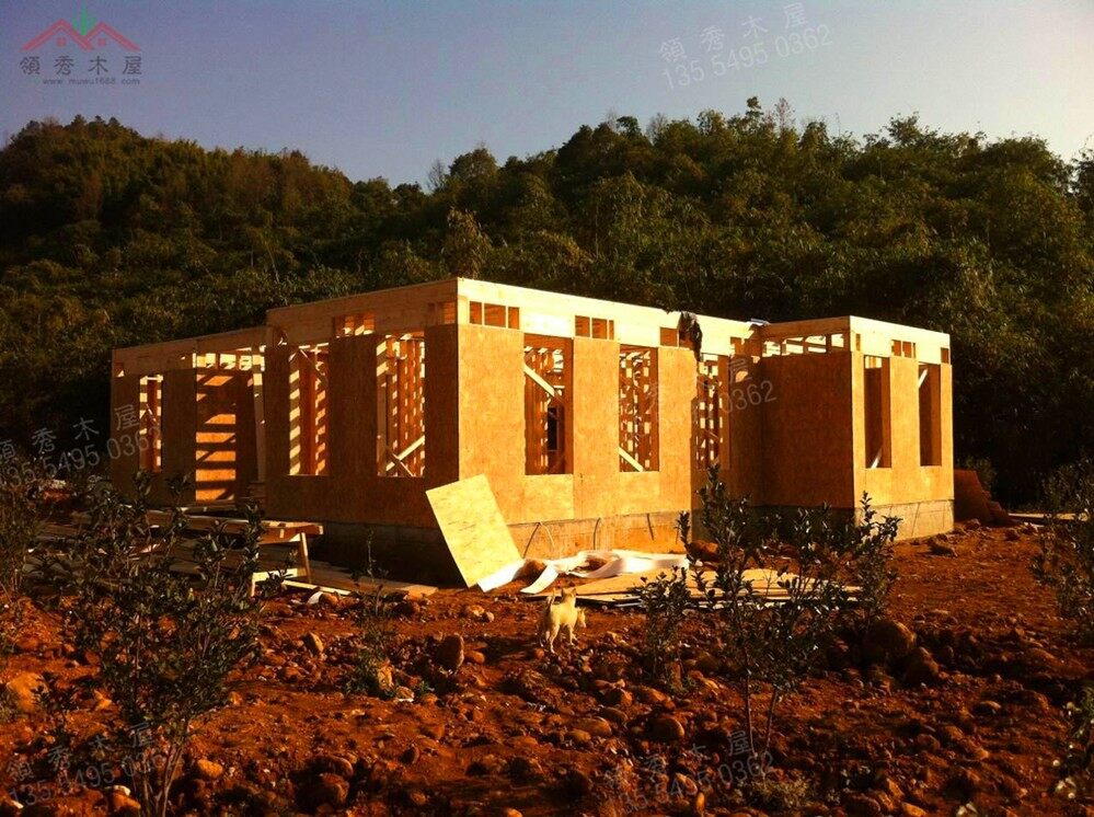 廣東清遠2X4輕型木別墅案例施工展示(圖3)