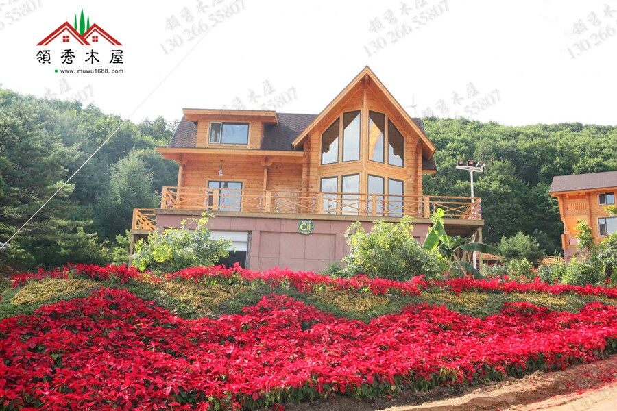 廣東清遠客戶搭建的木別墅(圖3)