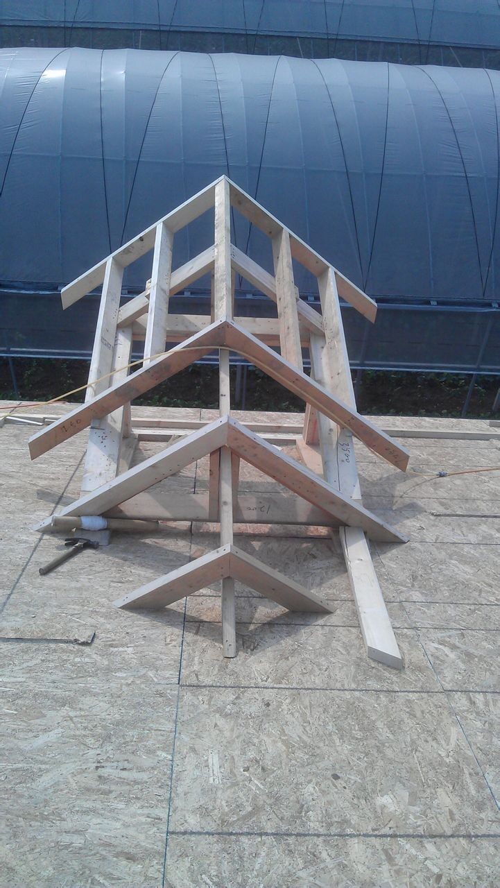 木屋建造的流程是怎么樣的呢？(圖1)