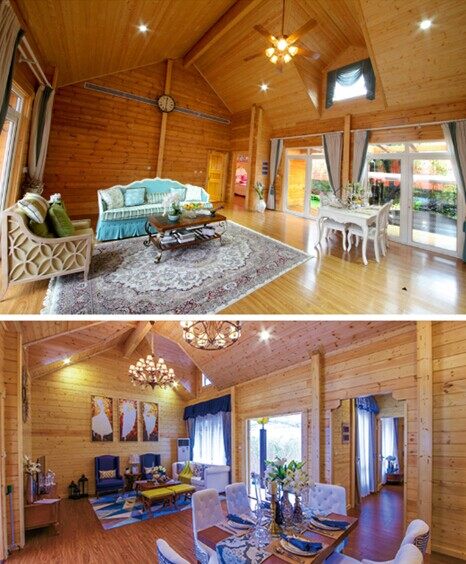 廣東河源巴伐利亞莊園木屋別墅群(圖4)