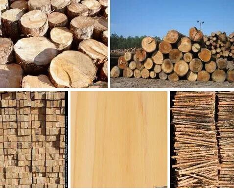 自己建造木屋(圖3)