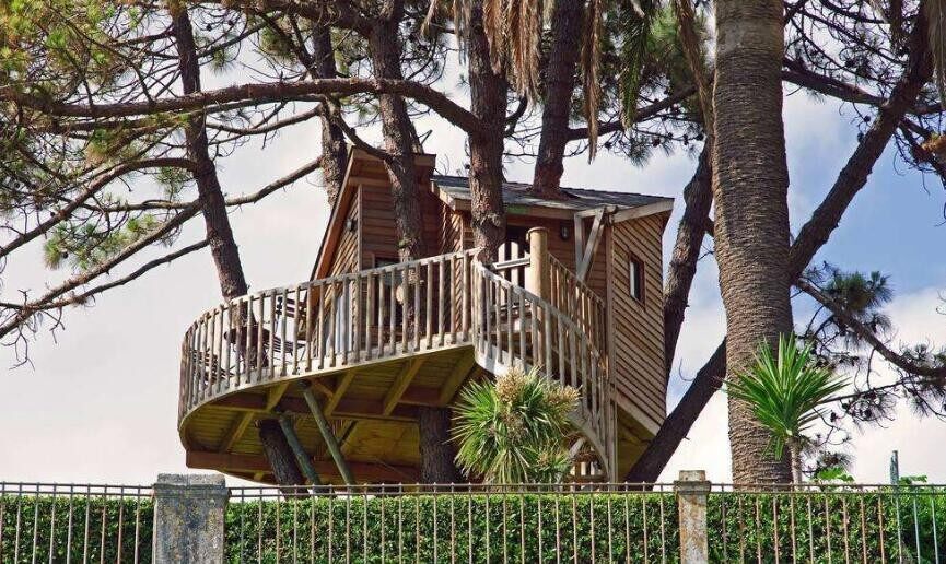 樹屋建造公司，造一個樹屋多少錢，怎么建樹屋(圖1)