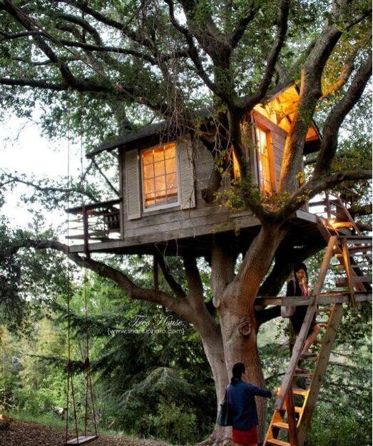 樹屋建造公司，造一個樹屋多少錢，怎么建樹屋(圖3)