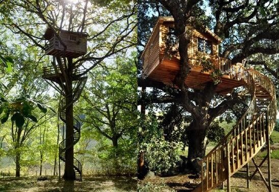 樹屋建造公司，造一個樹屋多少錢，怎么建樹屋(圖2)