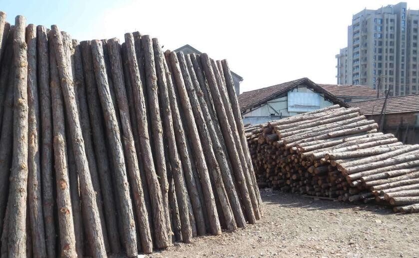 建木屋的木材在哪里買？(圖2)