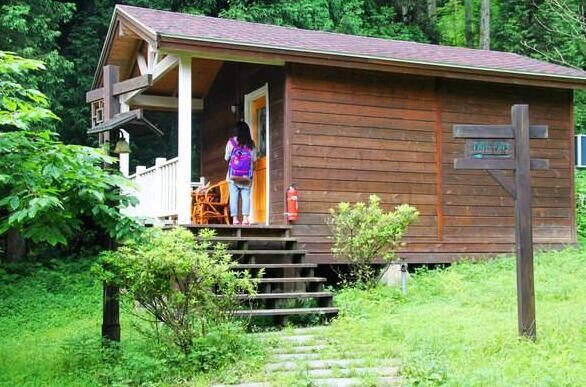 樹林小木屋(圖1)