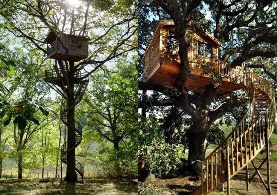 樹屋設(shè)計(圖1)