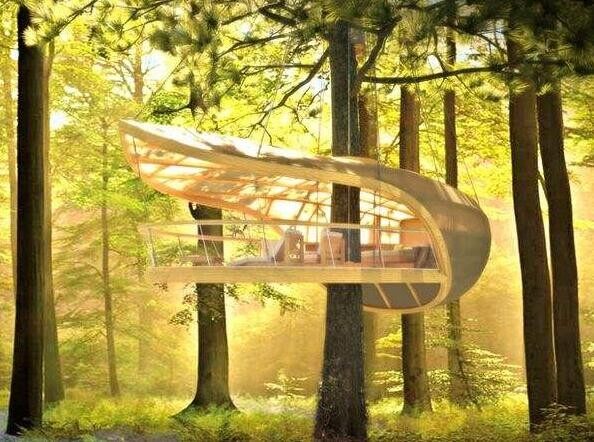 樹屋設(shè)計(圖2)