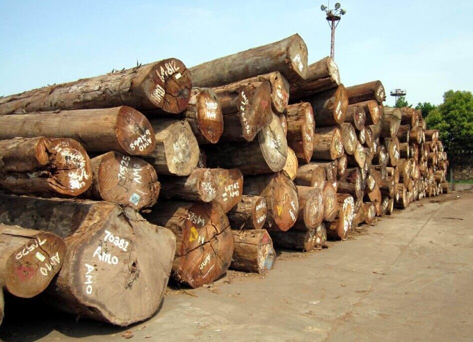 化木材為利潤(rùn)(圖2)