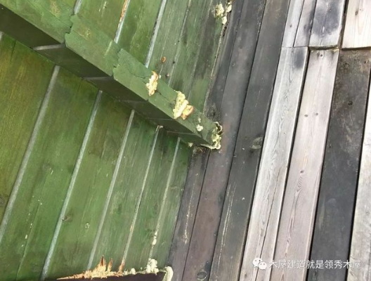 木屋木材發(fā)霉了怎么辦？(圖2)