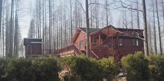 國(guó)際林海酒店木屋設(shè)計(jì)基本概念(圖6) 遠(yuǎn)看建好的木屋