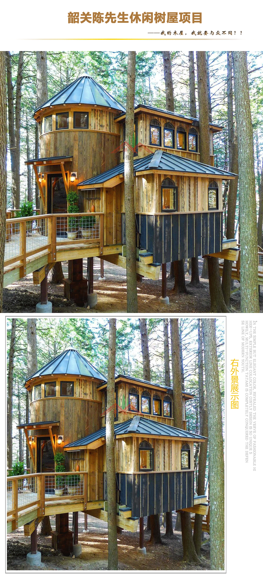 特色樹屋