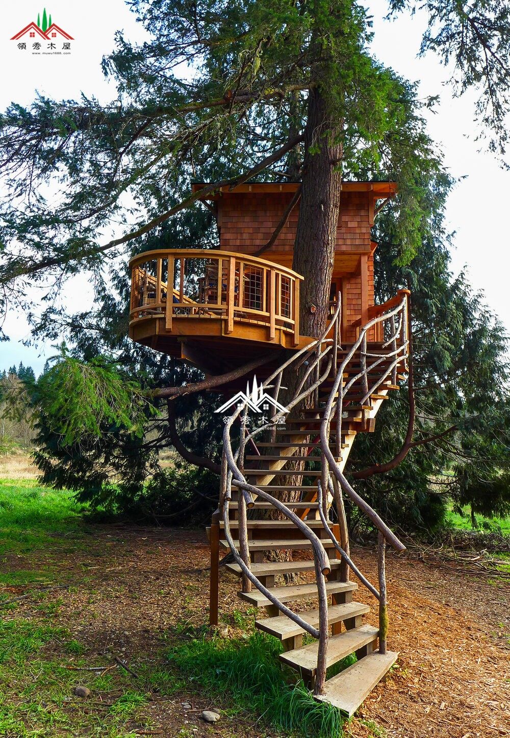 麻雀雖小，五臟俱全的小樹屋(圖4)