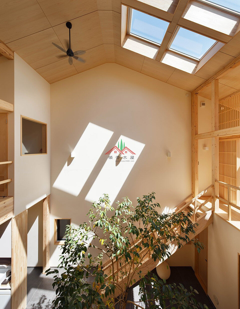 室內(nèi)有顆樹的木屋