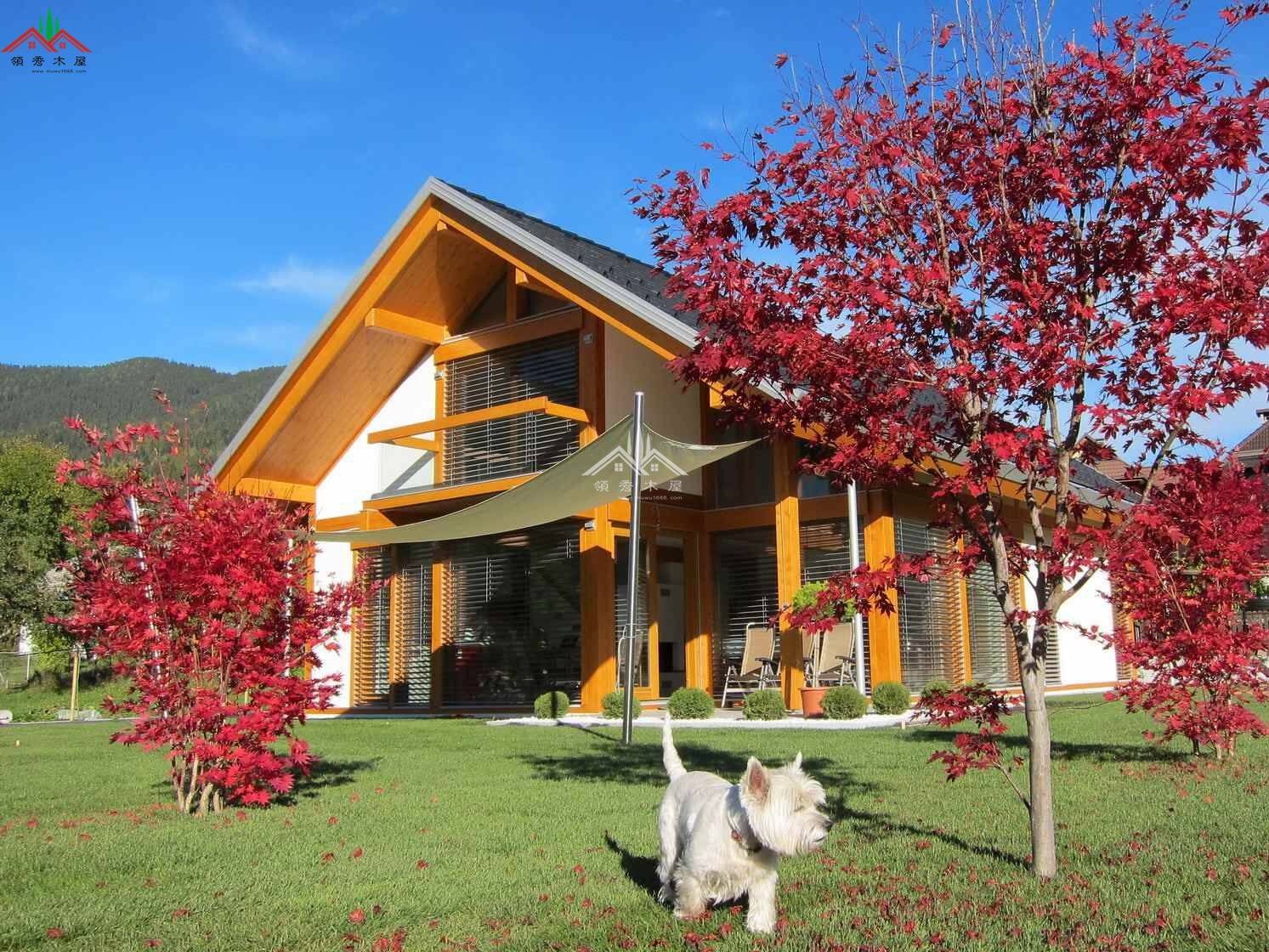 梁柱框架木屋別墅