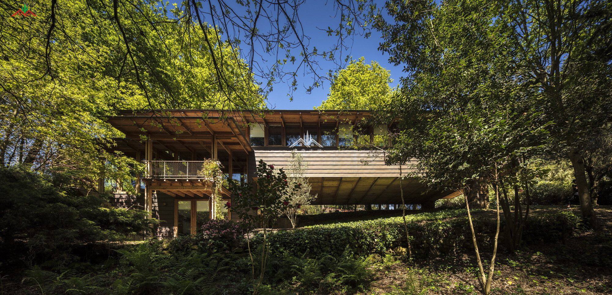 木結(jié)構(gòu)會(huì)所木屋